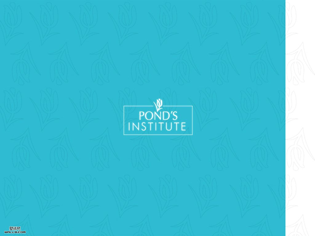 PondsϹֽ