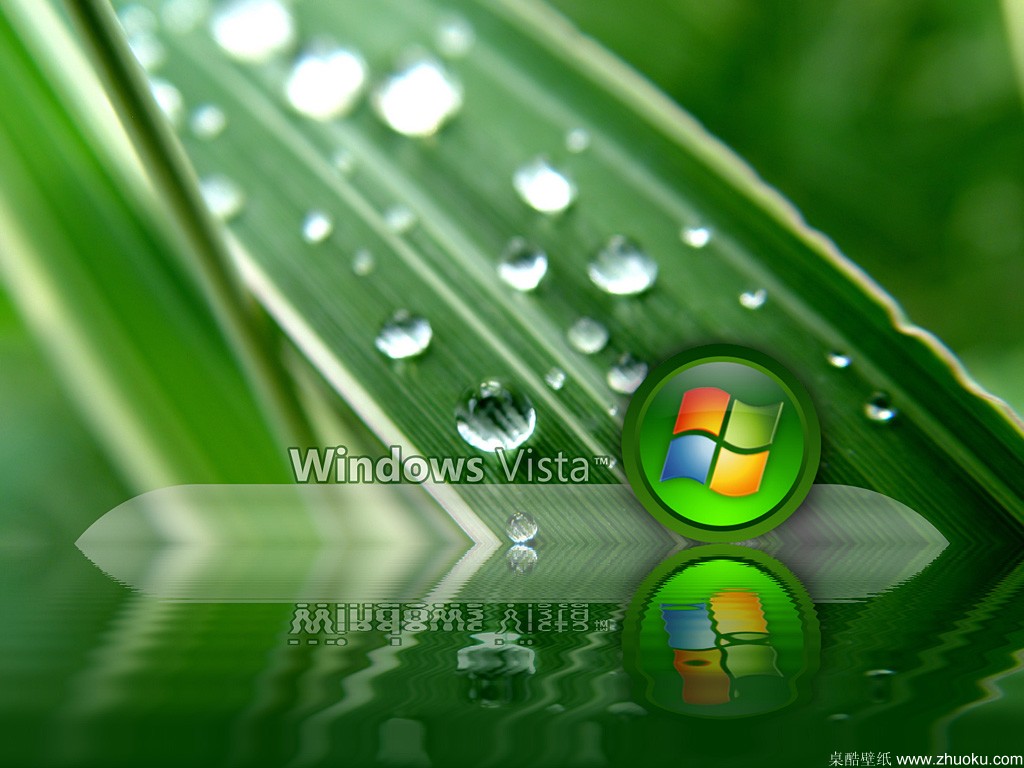 Windows Vistaֽ